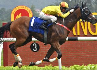 Shimi Go remains unbeaten in Malaysia.