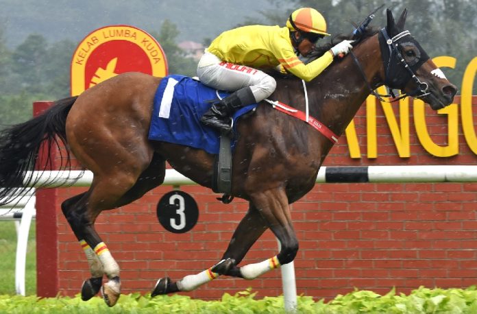 Shimi Go remains unbeaten in Malaysia.