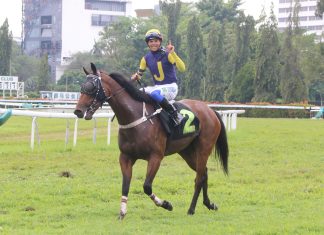 Promising five year old GOLDEN KING appears ideally placed to break through in the 1600m Cosmo C contest at Ipoh on Sunday.