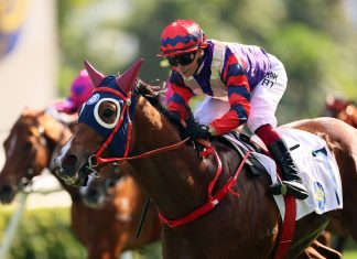 Happy Together is a five-time winner in Hong Kong.