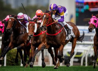 Helios Express triumphs over Helene Feeling in the Classic Mile.