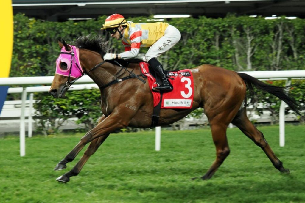 Golden Empire makes it three for Francis Lui.