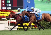 Romantic Warrior clinches epic Hong Kong Gold Cup James McDonald prevails on Romantic Warrior.
