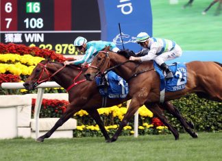 James McDonald prevails on Romantic Warrior.