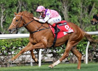 Simply Maverick is chasing three wins in a row.