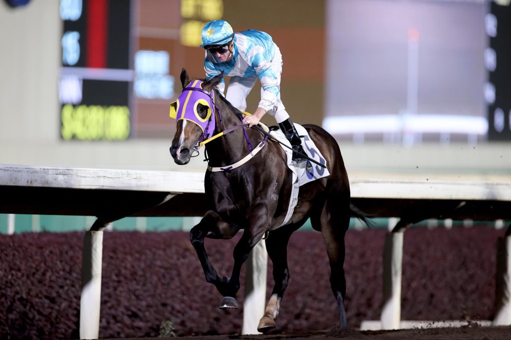 Gummy Gummy bids for a third Hong Kong win.