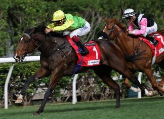 Tomodachi Kokoroe has earnt over HK$6 million in stakes.