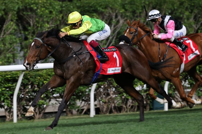 20240131-HV-R8-JCX34320w Tomodachi Kokoroe has earnt over HK$6 million in stakes.