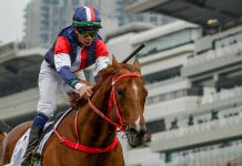 Unbelievable is yet to win in Hong Kong.