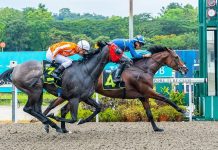 Magnifique trios for Lerner, Lim and Meagher Lim's Saltoro now remains unbeaten after four starts.