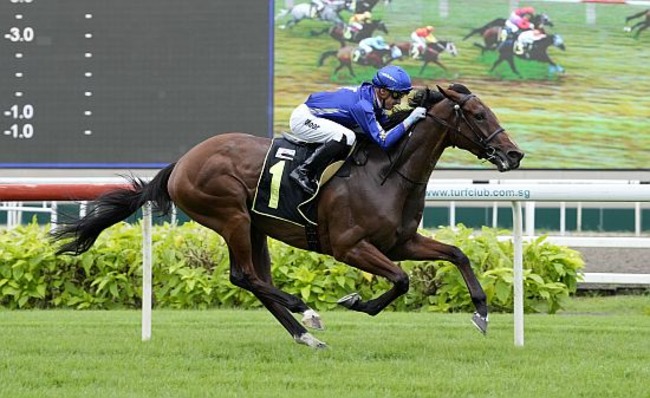 Cavalry seen here at his debut win in a Class 3 race on 8 July last year.at his debut win in a Class 3 race on 8 July last year.