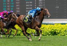 Dream Alliance is a five-time winner from 18 starts in Singapore.