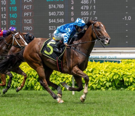 Dream Alliance is a five-time winner from 18 starts in Singapore.