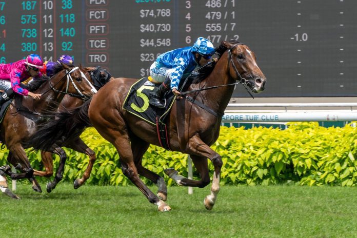 Dream Alliance is a five-time winner from 18 starts in Singapore.