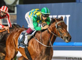 Military Law earned an automatic start on Dubai World Cup night on Super Saturday at Meydan.