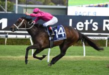 Fangirl to keep the ball rolling in Verry Elleegant Stakes Fangirl is back as good as ever this campaign.