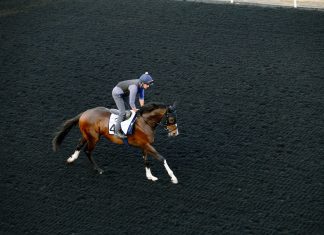 Destructive has one last chance to qualify for the Dubai World Cup meeting when he lines up at the final Dubai Racing Carnival meeting on Friday.