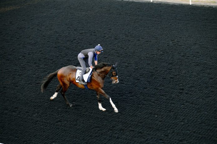 GFUqD5qXYAAaXfo Destructive has one last chance to qualify for the Dubai World Cup meeting when he lines up at the final Dubai Racing Carnival meeting on Friday.