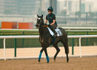 Frost At Dawn has proved to be tough as well as good.