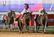 Bob Baffert has won four Dubai World Cups so far.