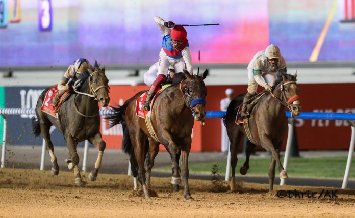 Bob Baffert has won four Dubai World Cups so far.