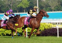 Golden Monkey will partner jockey Ryan Curatolo for the first time on Sunday.