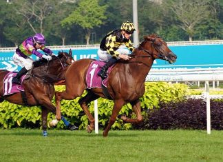 Golden Monkey will partner jockey Ryan Curatolo for the first time on Sunday.