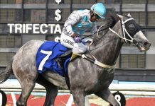 High Water wasn’t disgraced in a strong Class 3 lineup a fortnight ago.