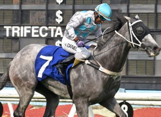 High Water wasn’t disgraced in a strong Class 3 lineup a fortnight ago.