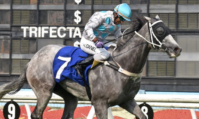 High Water High Water wasn’t disgraced in a strong Class 3 lineup a fortnight ago.
