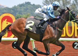 JB Kaingeh has hit peak form and is chasing a hat-trick of wins on Saturday.