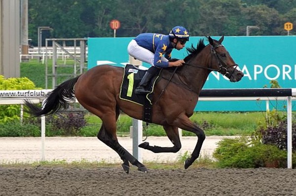 Lim's Kosciuszko (Marc Lerner) triumphant in the Kranji Stakes A race first-up.