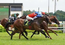 The Guineas-bound October (Ryan Curatolo, red cap) will line up in the Novice race on Sunday.