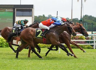 The Guineas-bound October (Ryan Curatolo, red cap) will line up in the Novice race on Sunday.