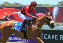 Fortune favours Fourie fans