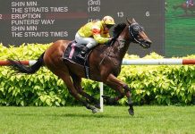 Sabah Ace (Vlad Duric) bounces back to his best in Race 5.