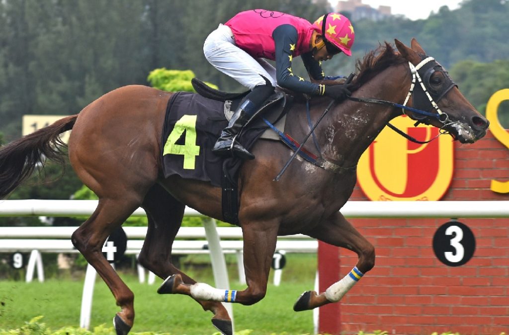 Stretchy Four is a horse on the rise on the Malaysia circuit.