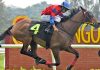 Trumpy seen winning his first Malaysia start for the Buffalo Stable.