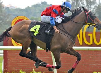 Trumpy seen winning his first Malaysia start for the Buffalo Stable.