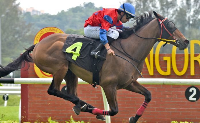 Trumpy Trumpy seen winning his first Malaysia start for the Buffalo Stable.