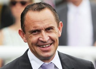 Trainer Chris Waller has won the Tancred Stakes with Verry Elleegant (2020) and Preferment (2016).