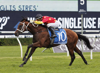 Militarize is the well fancied runner to claim Saturday's G1 feature at Randwick.