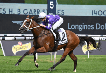 Espiona hits her peak distance this week.