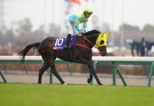 Victor The Winner heads to the starting gates.