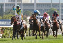 Massive Sovereign edges out Galaxy Patch and Ka Ying Generation.