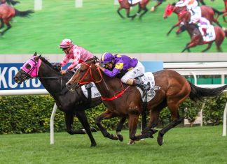 Helios Express (purple and yellow silks) overtakes Chancheng Glory in a desperate finish.