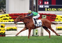 Mugen is chasing his fourth win of the season.