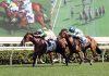 Galaxy Patch (outside) is one of Hong Kong’s best improvers.
