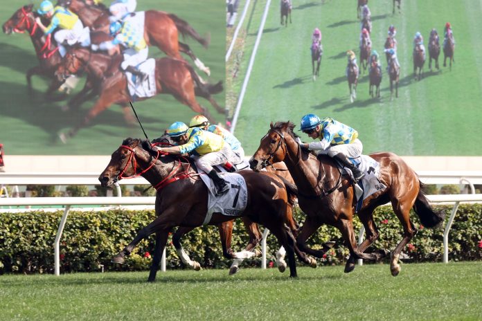Galaxy Patch (outside) is one of Hong Kong’s best improvers.