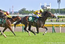 North Bridge is a six-time winner.